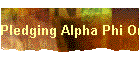 Pledging Alpha Phi Omega